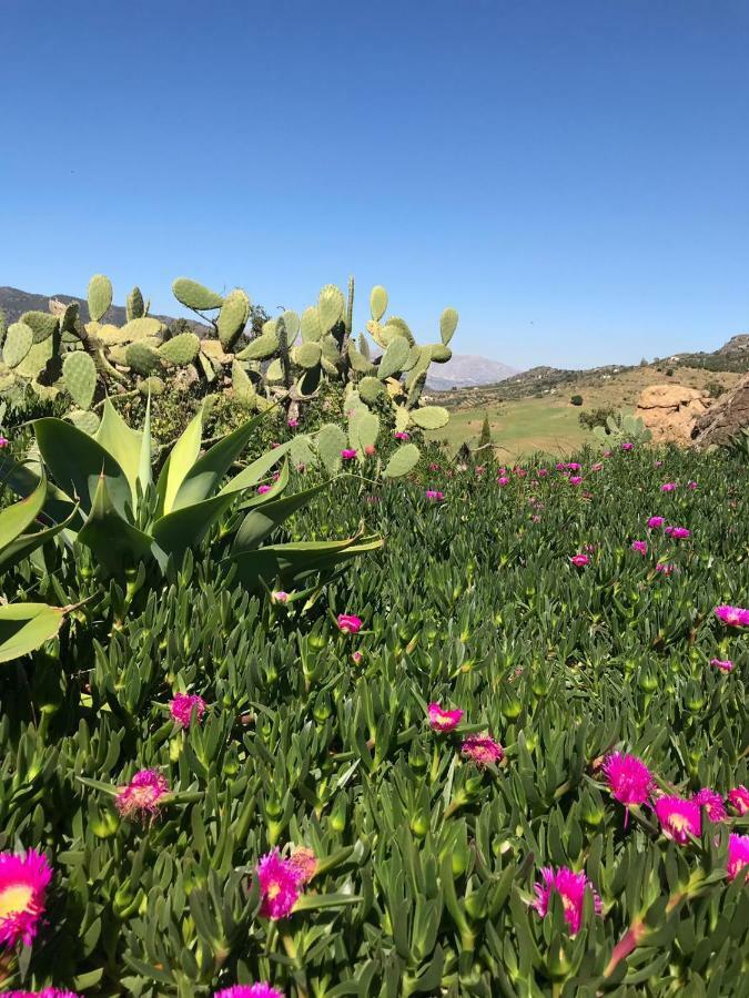 Casa Grande / Rosas Cantares Pizarra Εξωτερικό φωτογραφία